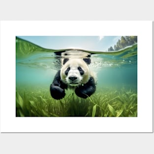 Panda Animal Fun Nature Playing Water Posters and Art